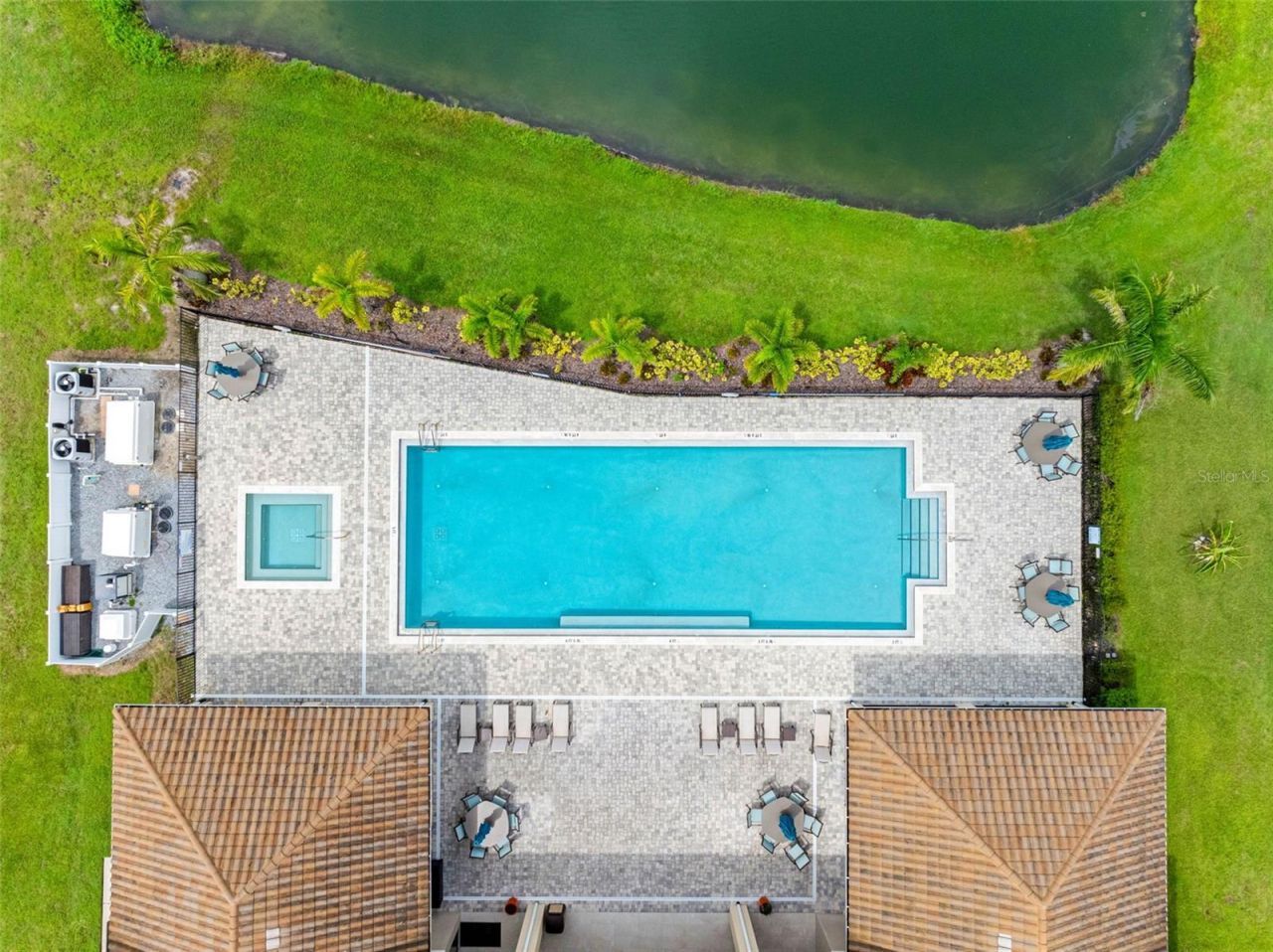 29800 Anand Vihar Drive, Wesley Chapel, FL 33543 Photo