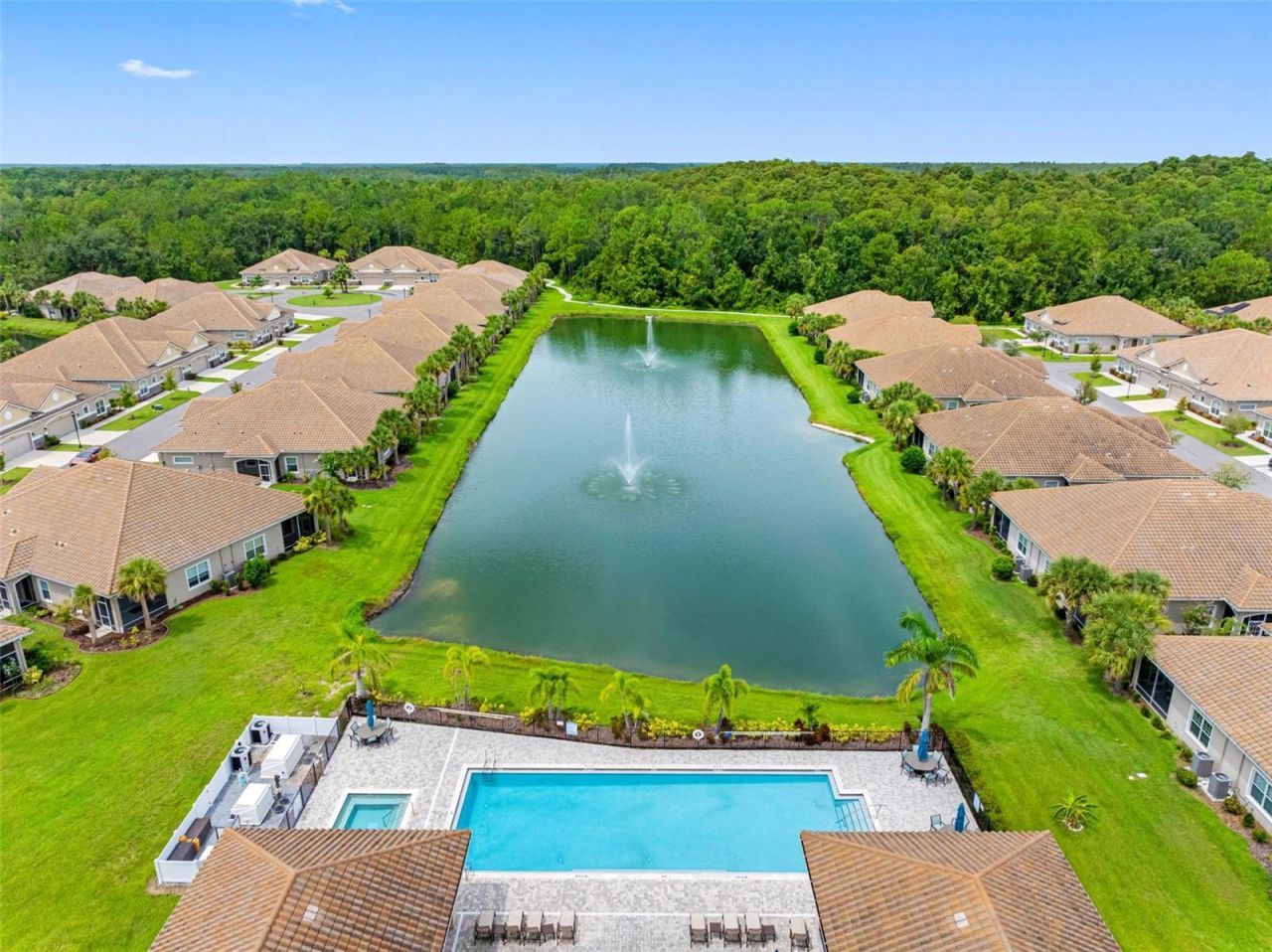 29800 Anand Vihar Drive, Wesley Chapel, FL 33543 Photo