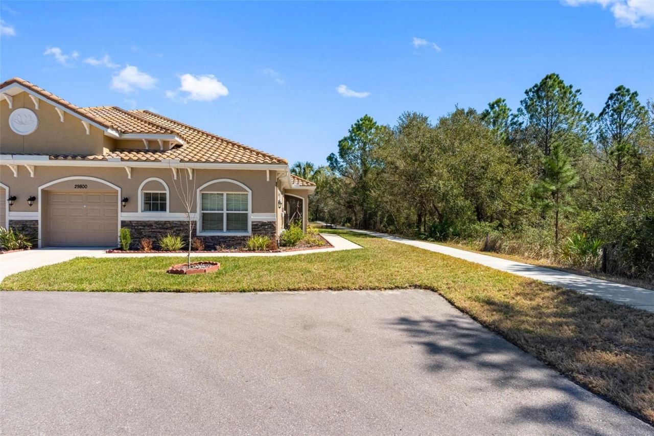 29800 Anand Vihar Drive, Wesley Chapel, FL 33543 Photo