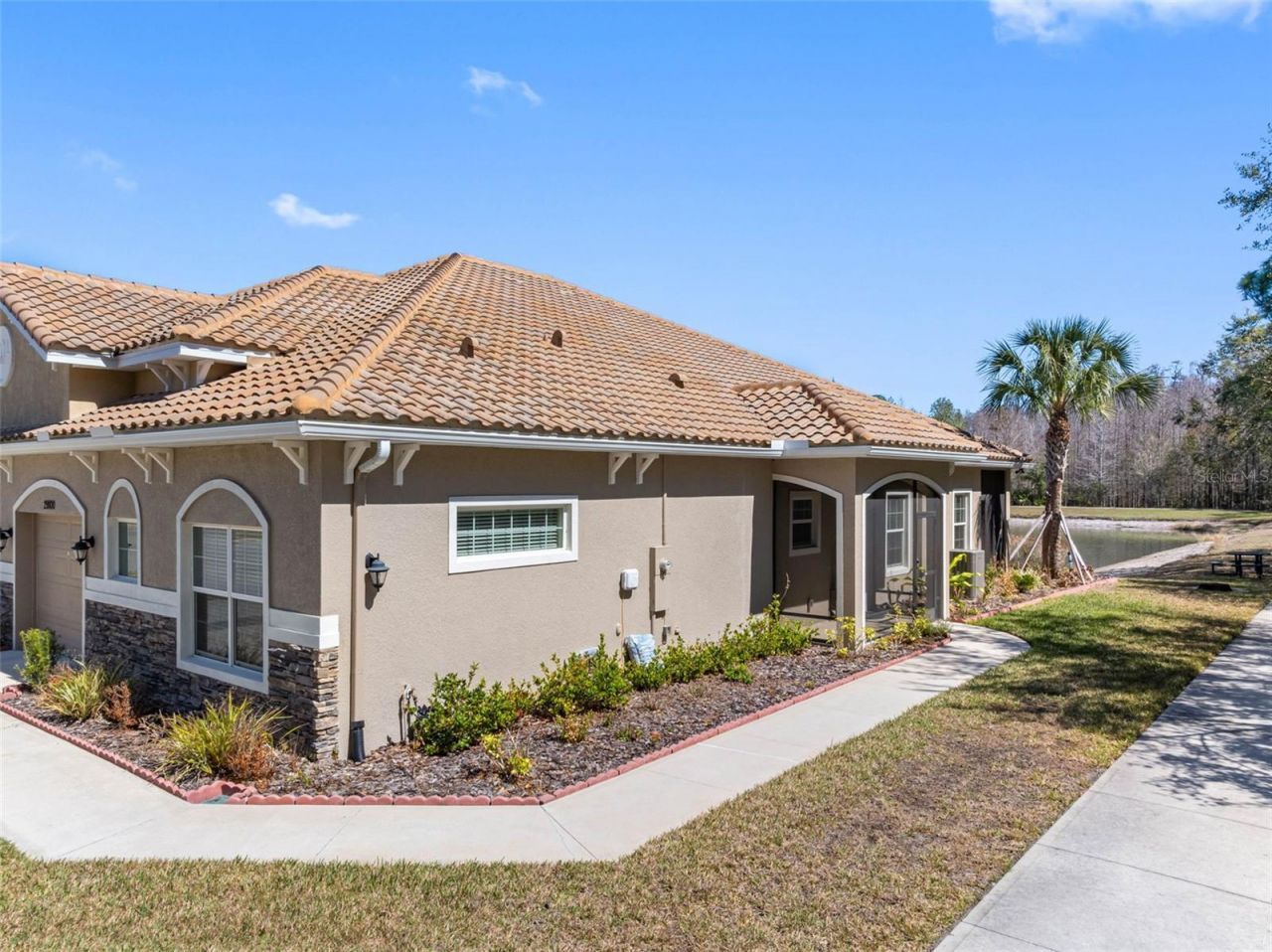 29800 Anand Vihar Drive, Wesley Chapel, FL 33543 Photo