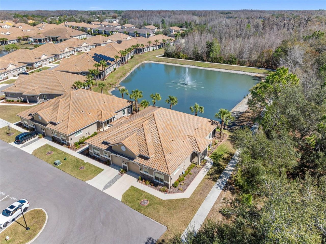 29800 Anand Vihar Drive, Wesley Chapel, FL 33543 Photo