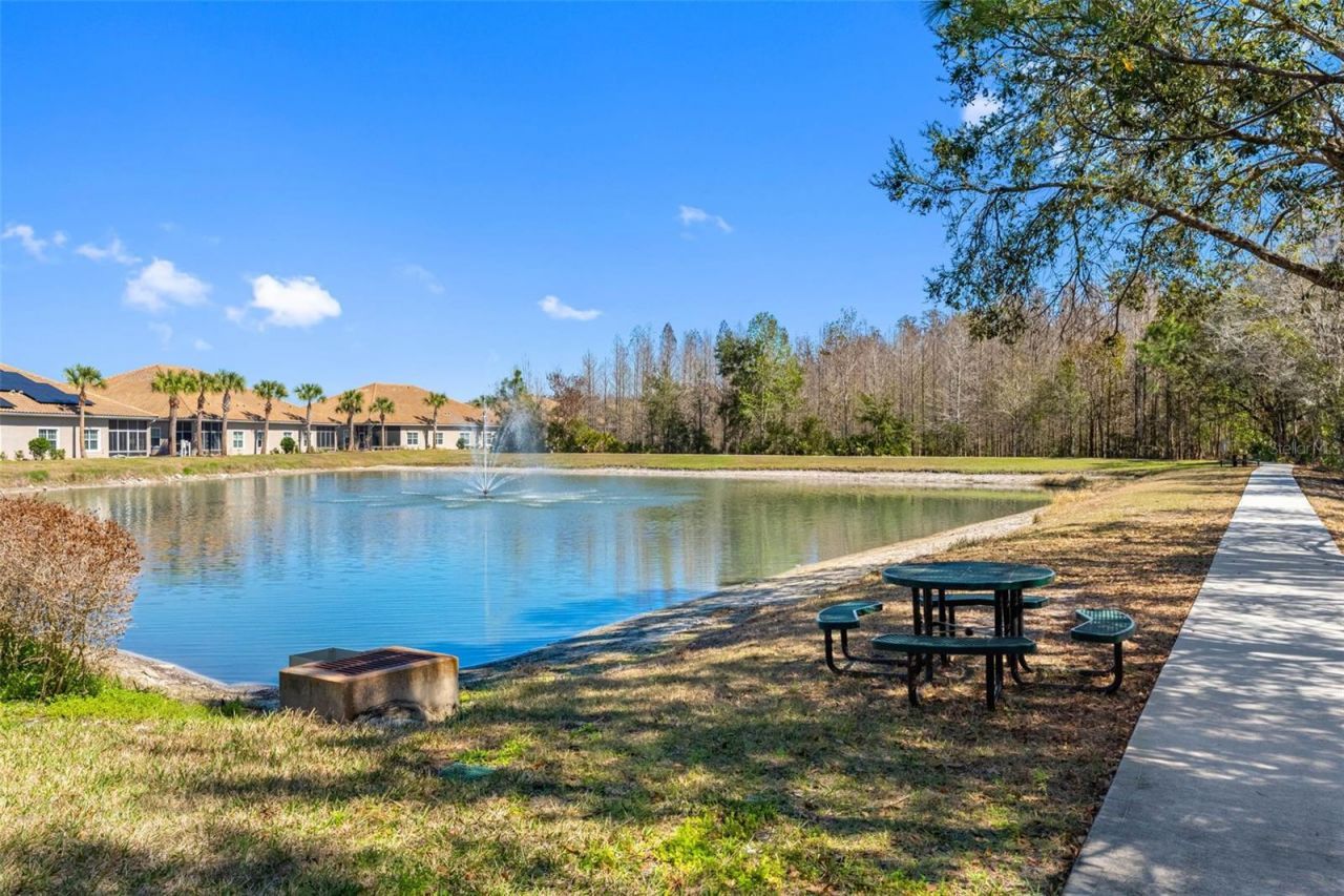 29800 Anand Vihar Drive, Wesley Chapel, FL 33543 Photo
