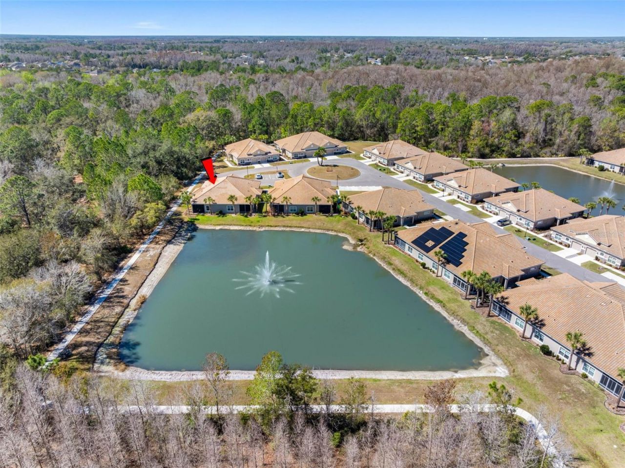 29800 Anand Vihar Drive, Wesley Chapel, FL 33543 Photo
