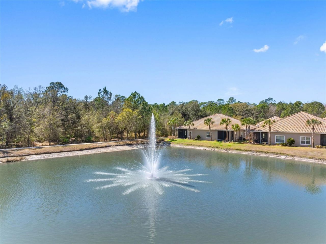 29800 Anand Vihar Drive, Wesley Chapel, FL 33543 Photo