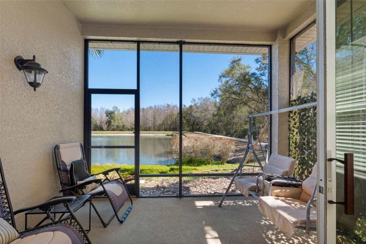 29800 Anand Vihar Drive, Wesley Chapel, FL 33543 Photo