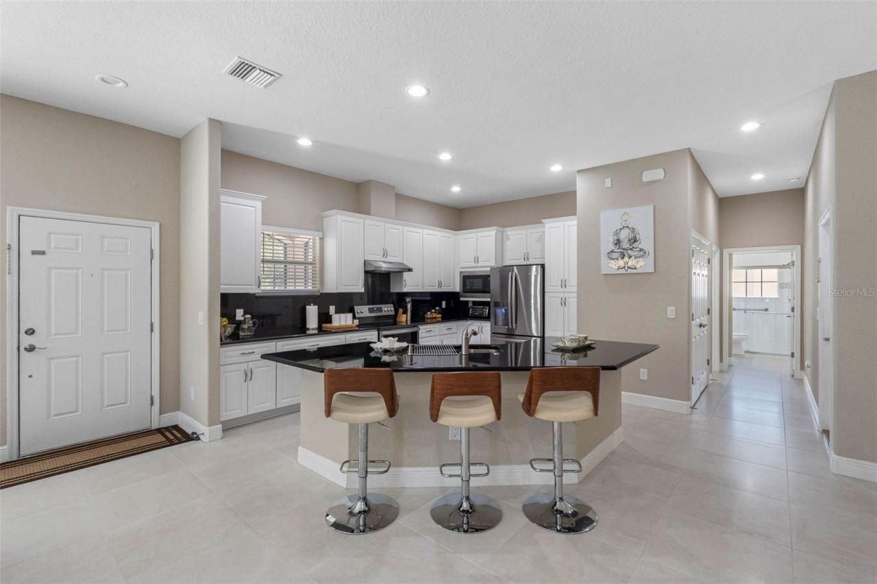 29800 Anand Vihar Drive, Wesley Chapel, FL 33543 Photo