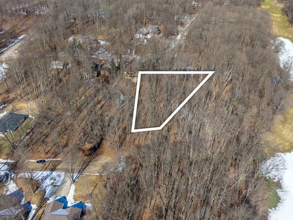 11270 Apache Wells Court, Canadian Lakes, MI 49346