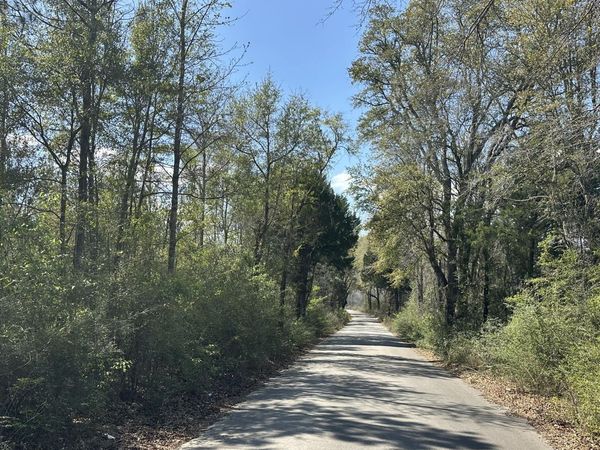 Tract#6336 Sand Path Road, Bonifay, FL 32425