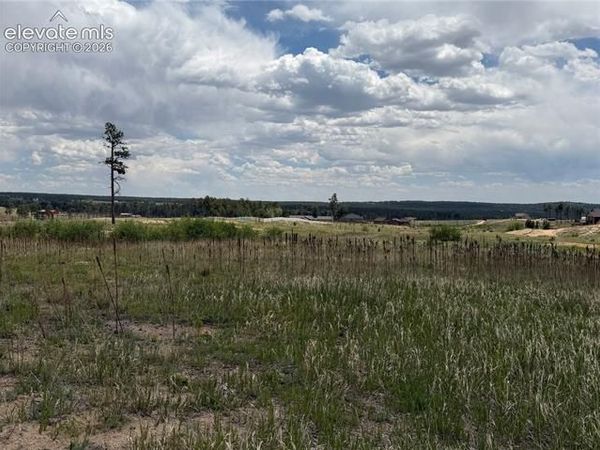 13810 Wildoak Drive, Black Forest, CO 80908