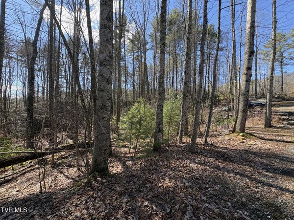 Lot 30 Gene Drive, Butler, TN 37640