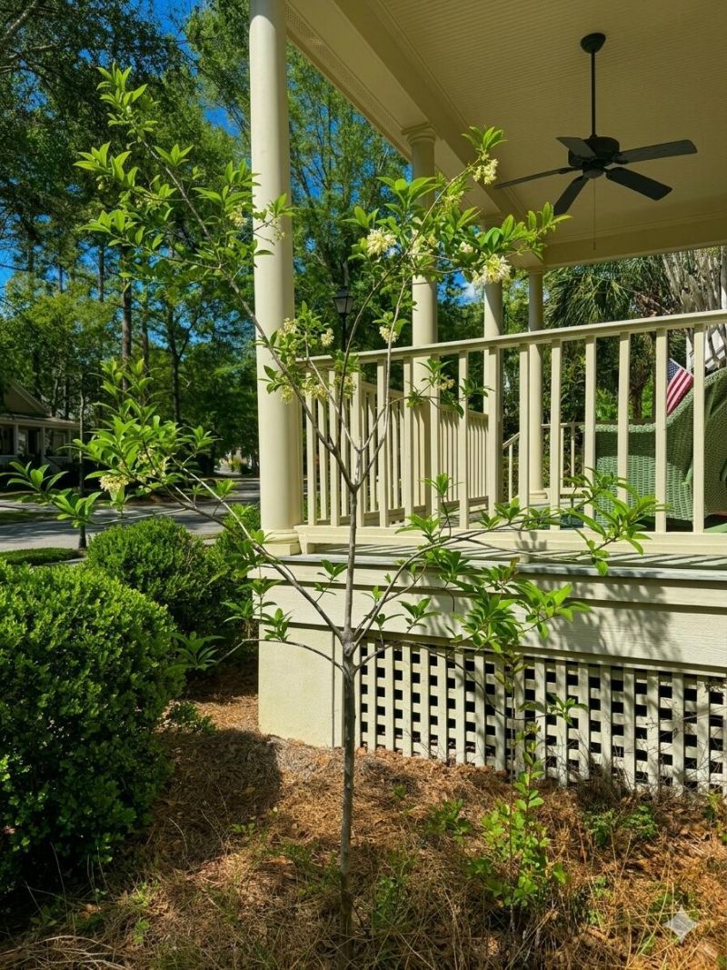 5142 Coral Reef Drive Photo 38