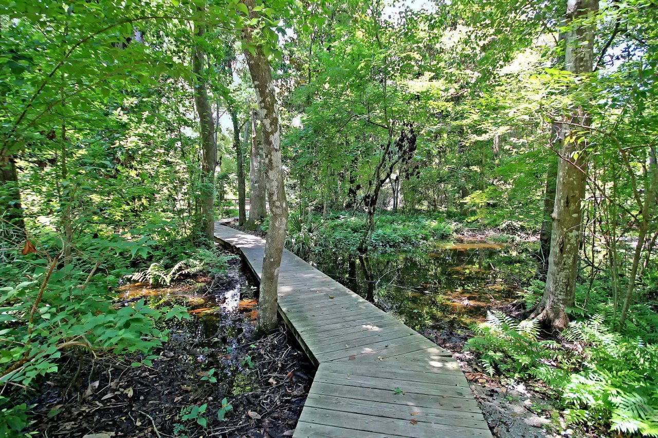 5142 Coral Reef Drive Photo 49