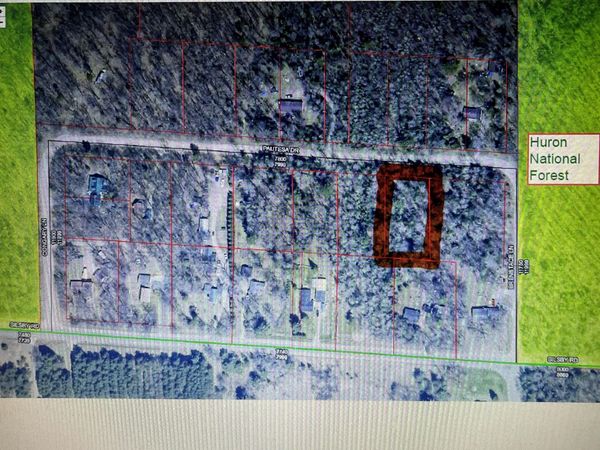 Lot 10 Pautesa Drive, Roscommon, MI 48653