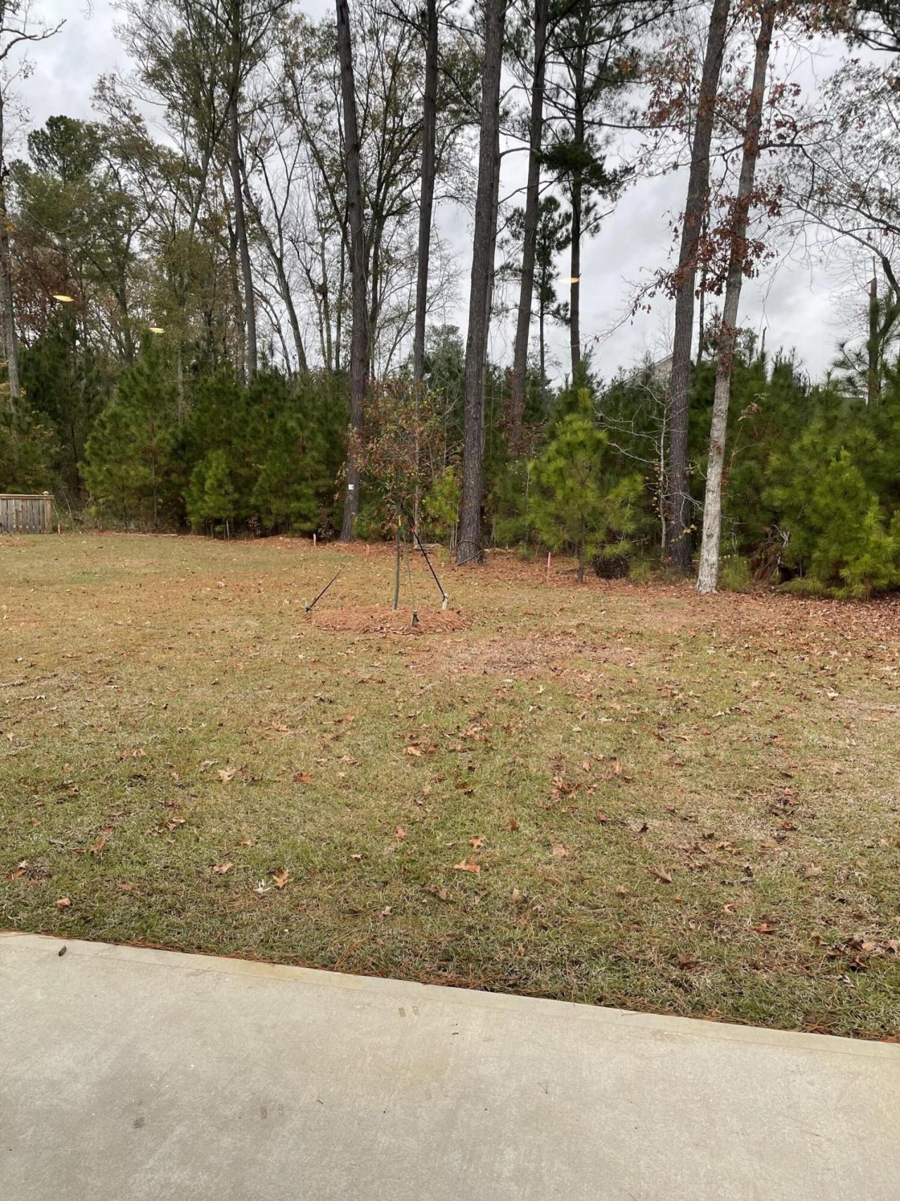 108 Brant Drive Photo 29