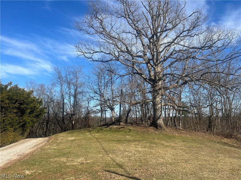 1216 Cisler Drive, Marietta, OH 45750 Photo 17