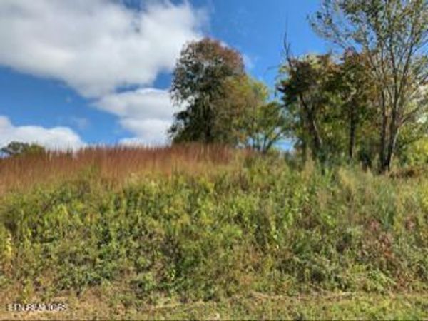 616 Thompson Creek Lane, Cookeville, TN 38506