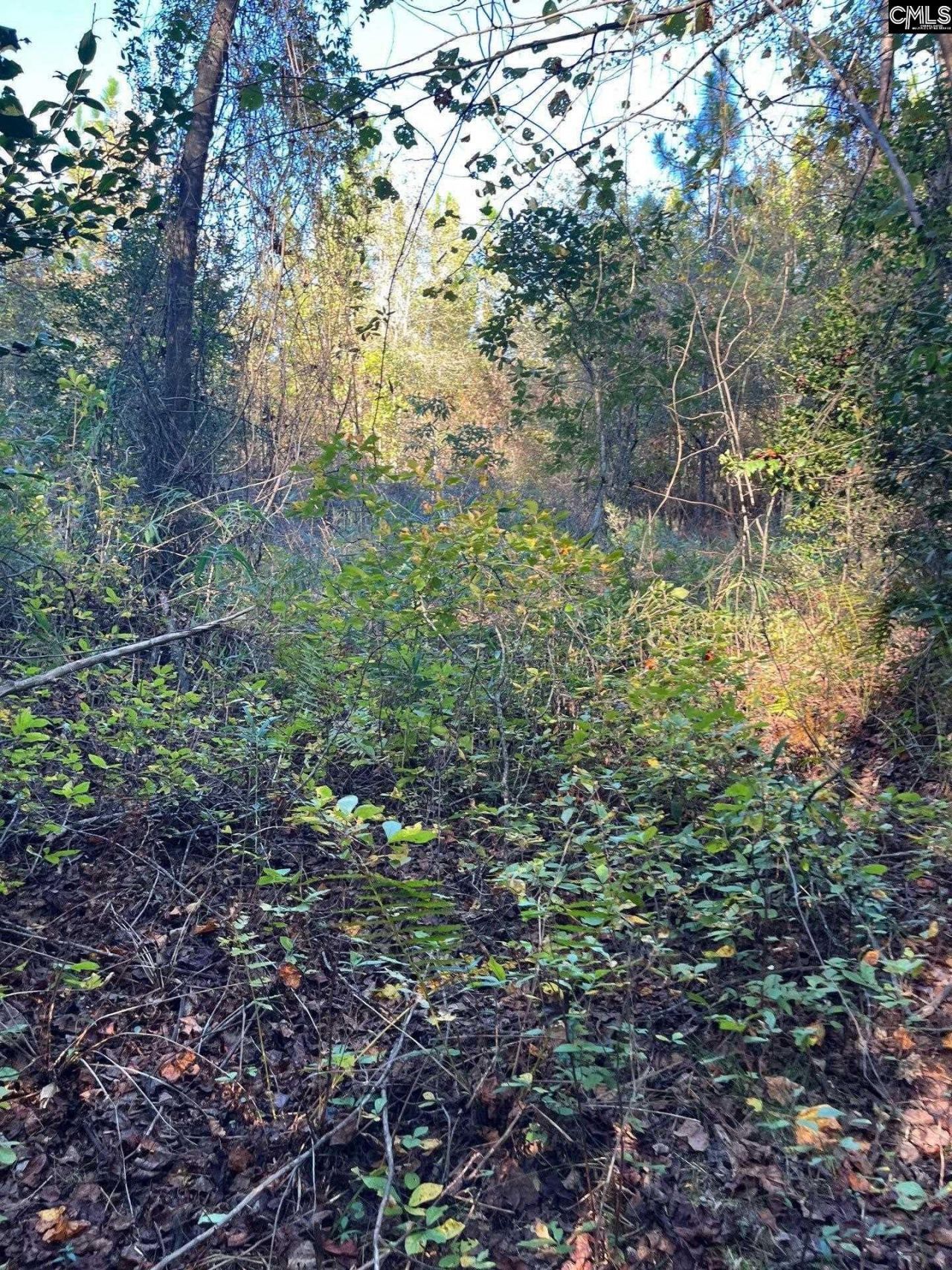 Ppf 12 Payne Pond Road  Photo 10