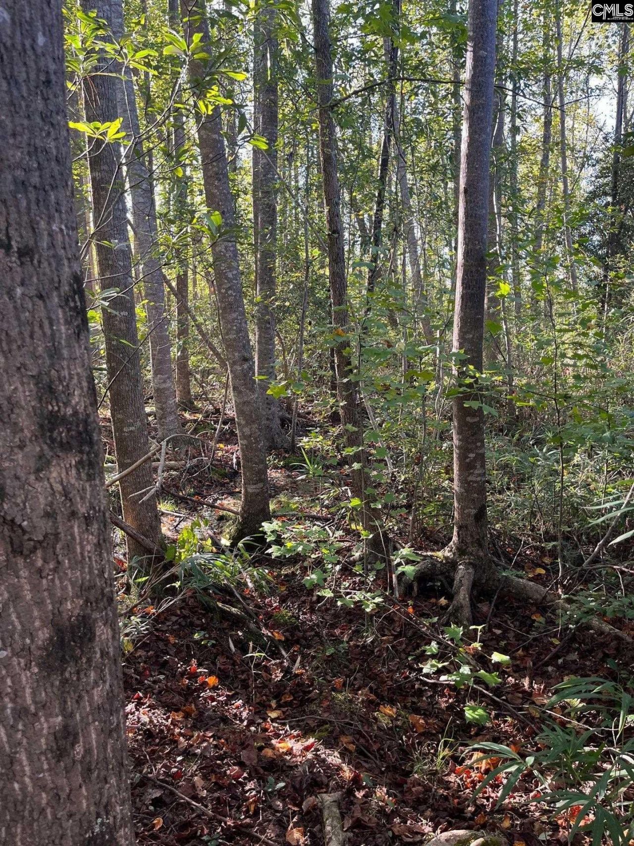 Ppf 12 Payne Pond Road  Photo 11