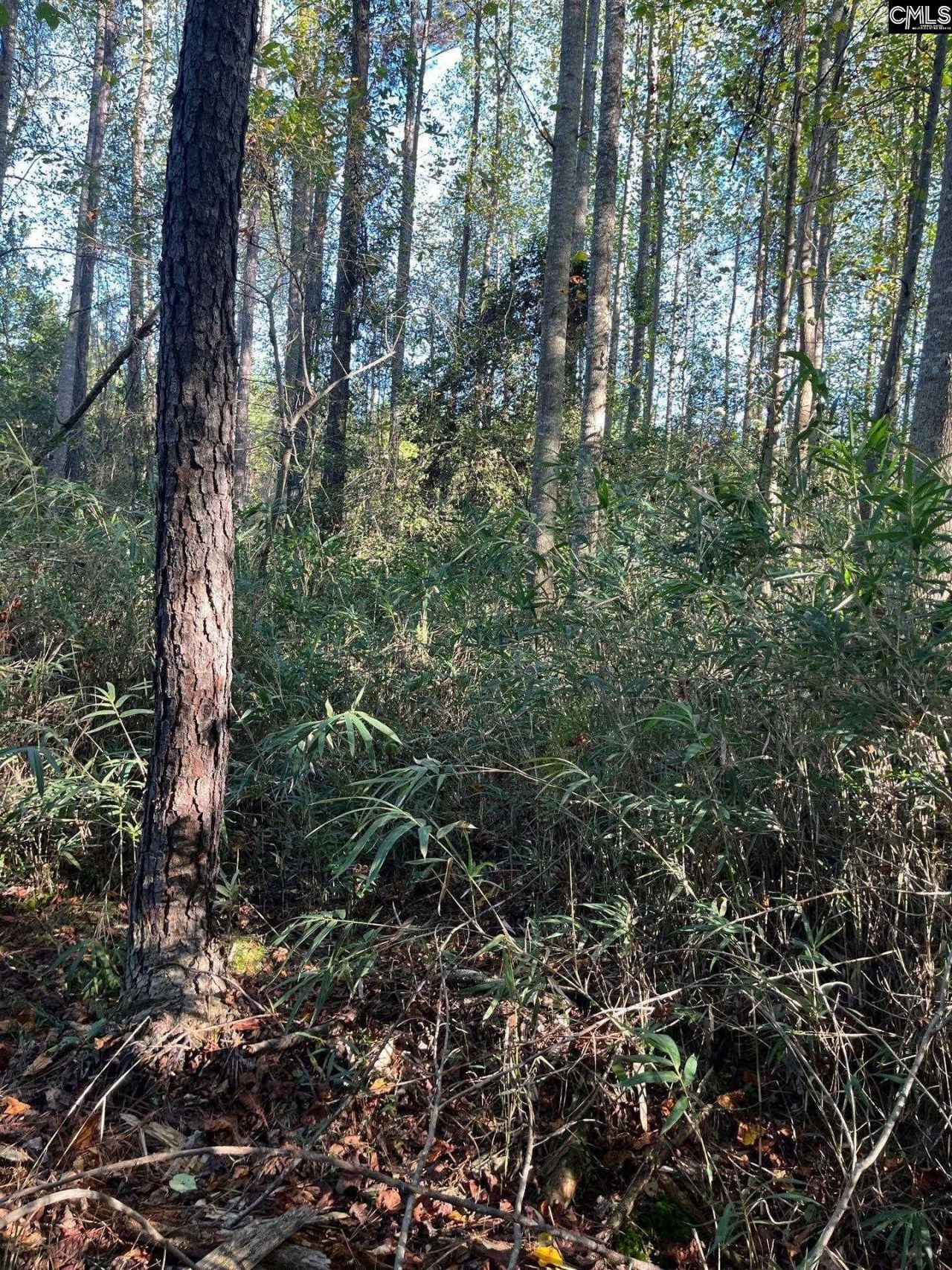 Ppf 12 Payne Pond Road  Photo 12