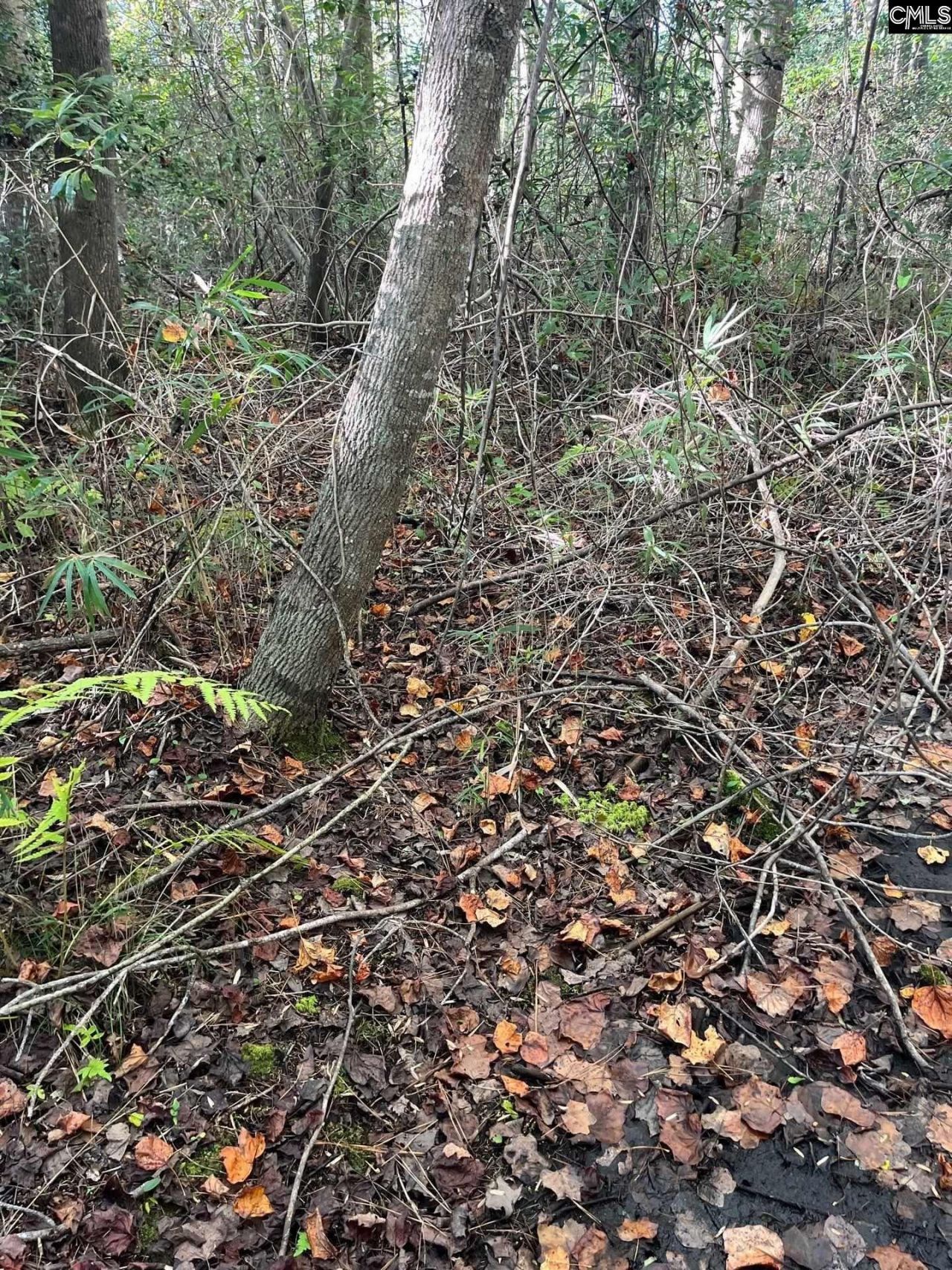 Ppf 12 Payne Pond Road  Photo 14