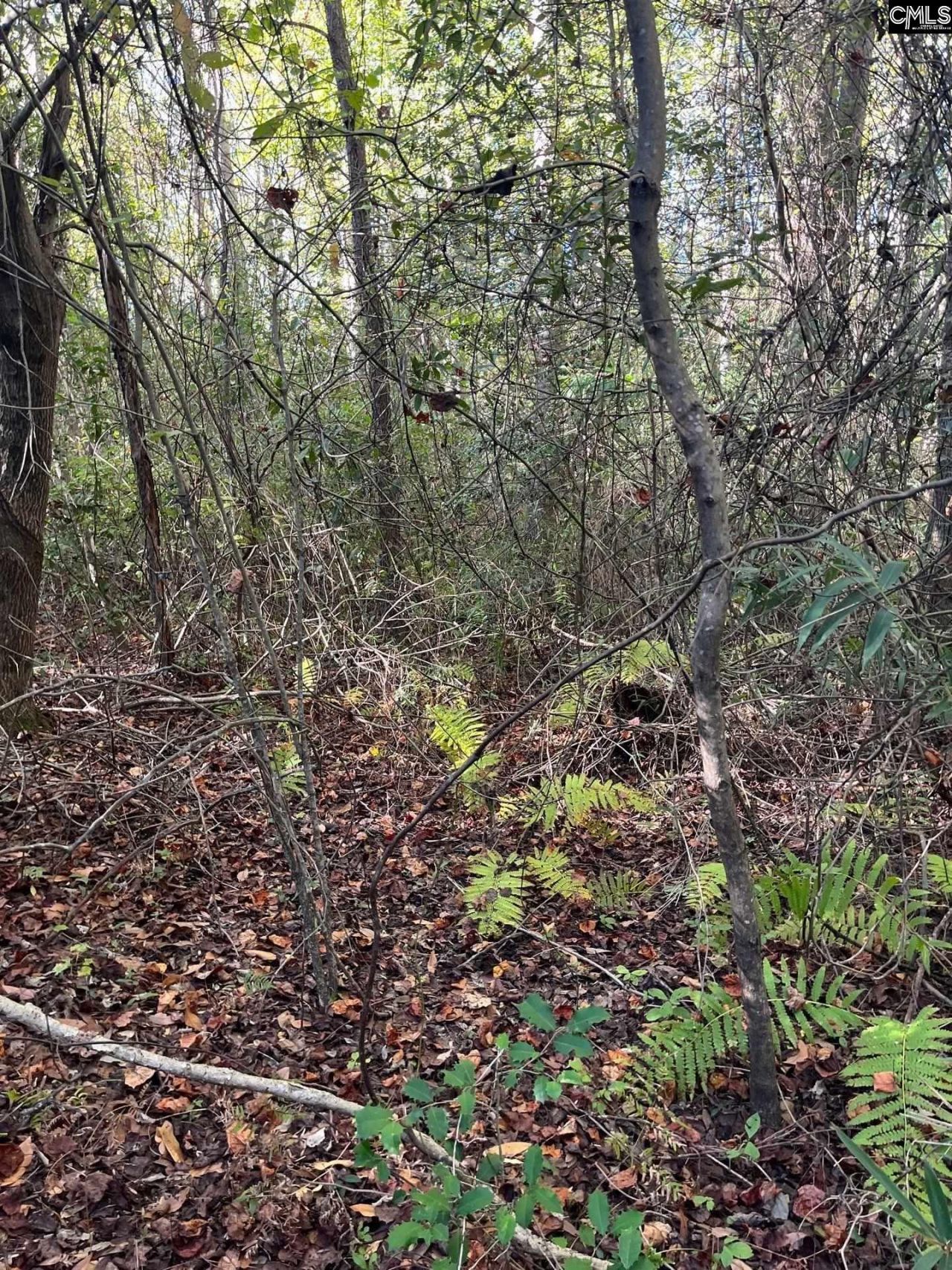 Ppf 12 Payne Pond Road  Photo 16