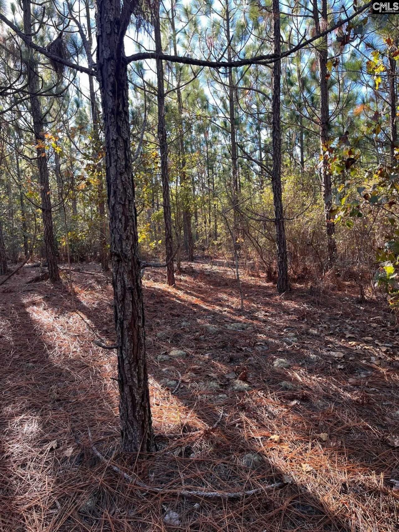 Ppf 12 Payne Pond Road  Photo 17