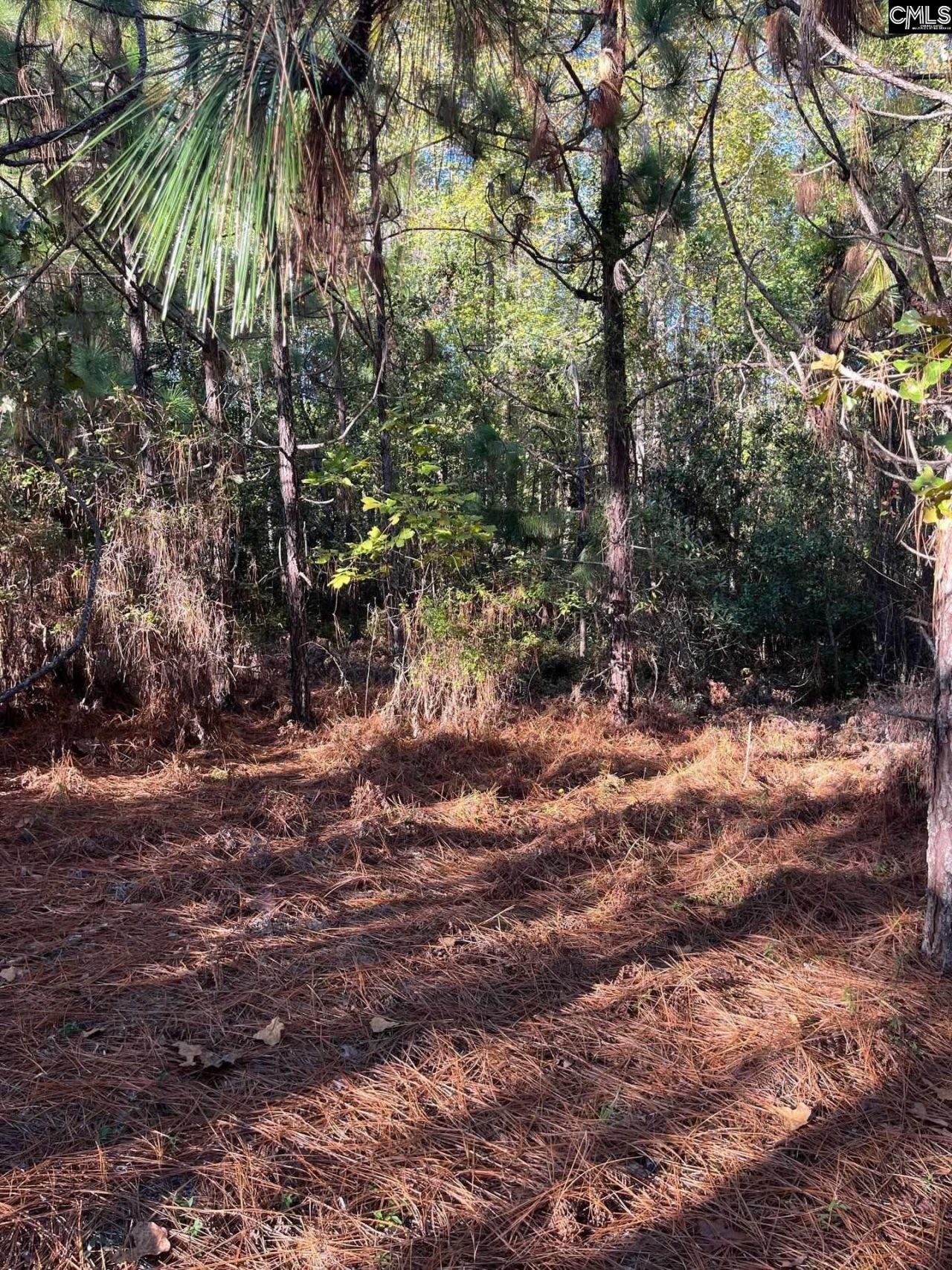 Ppf 12 Payne Pond Road  Photo 18