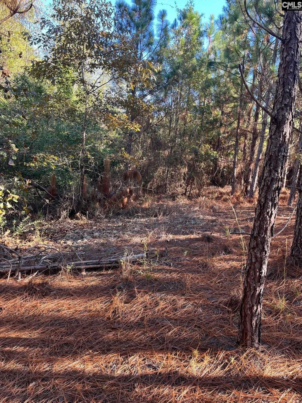 Ppf 12 Payne Pond Road  Photo 19