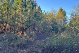 Ppf 12 Payne Pond Road  photo 4