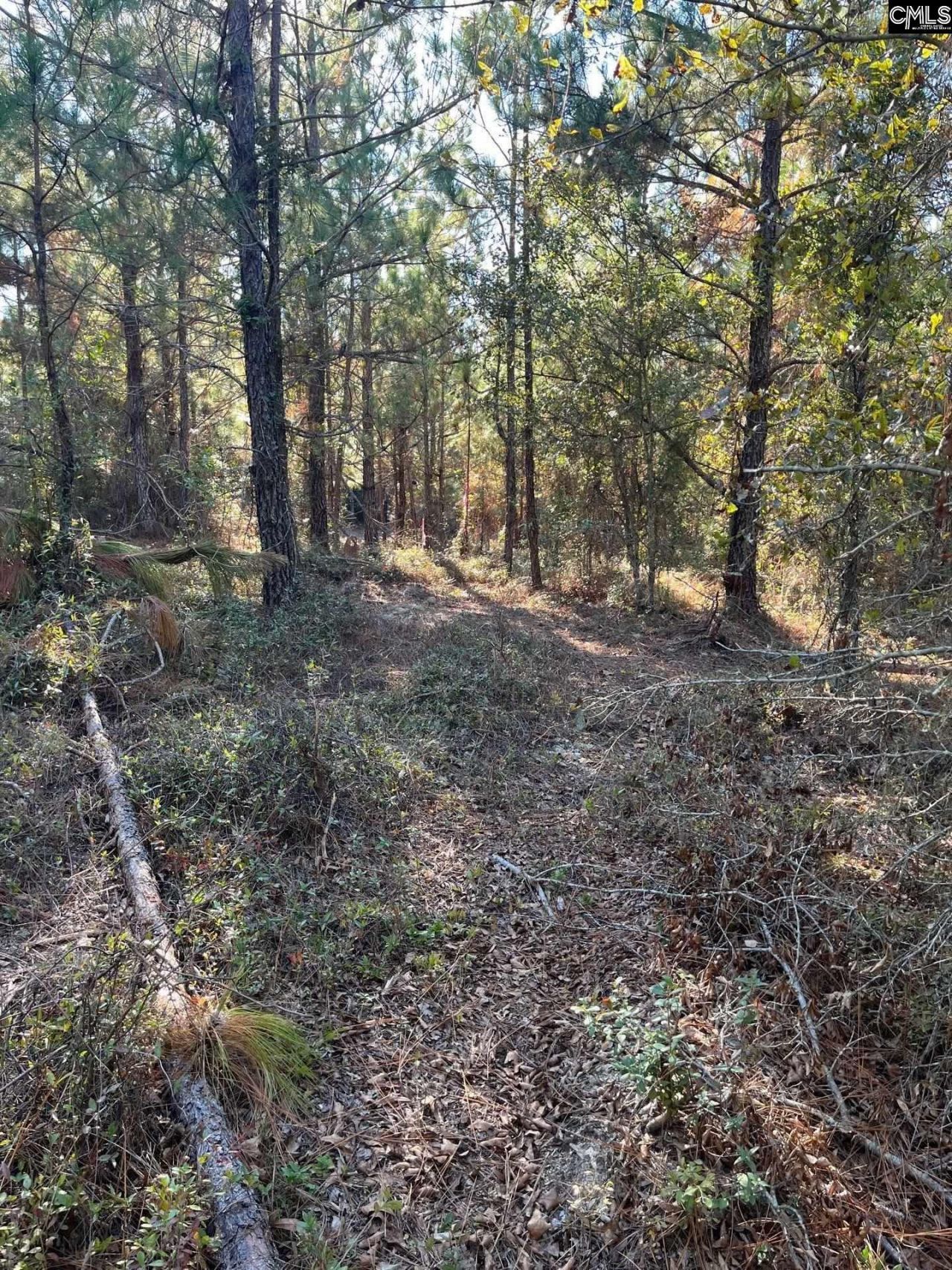 Ppf 12 Payne Pond Road  Photo 20