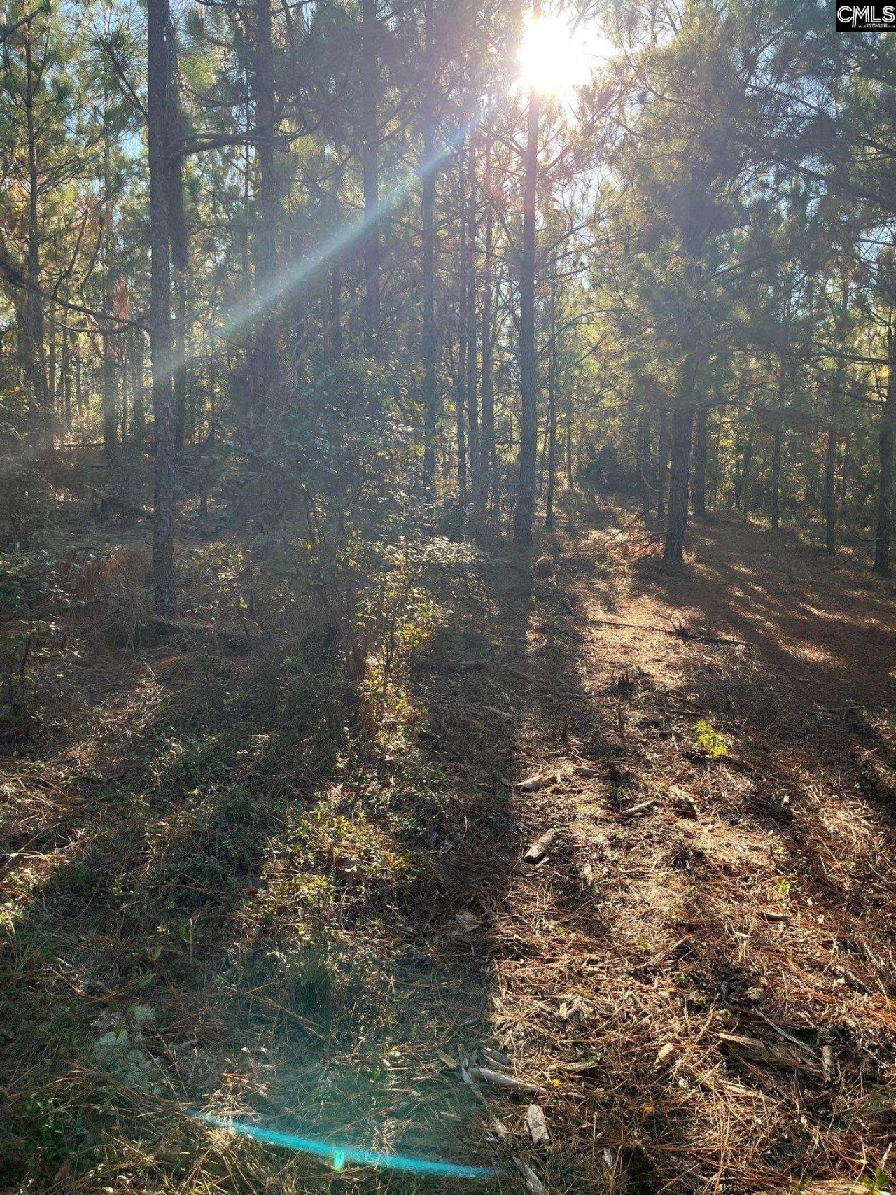 Ppf 12 Payne Pond Road  Photo 23