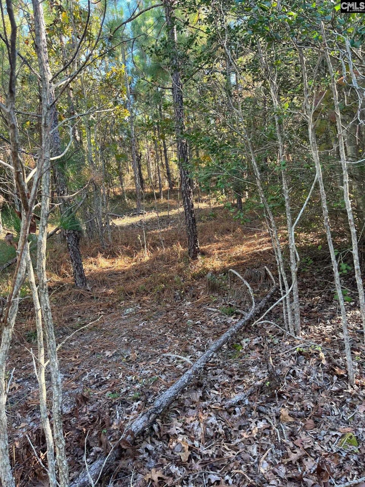 Ppf 12 Payne Pond Road  Photo 25