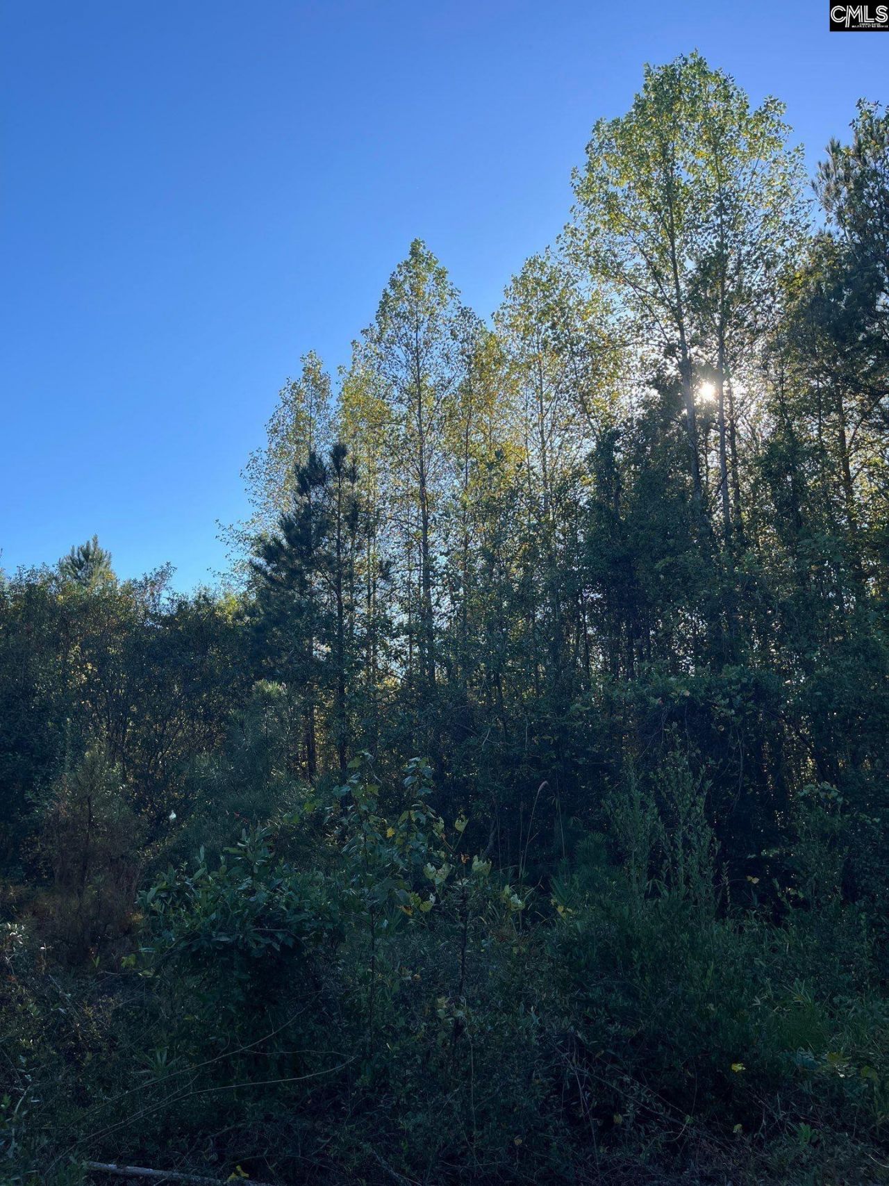 Ppf 12 Payne Pond Road  Photo 28