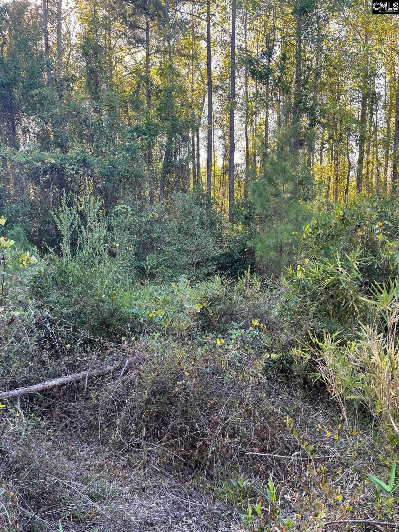 Ppf 12 Payne Pond Road  Photo 29