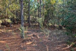 Ppf 12 Payne Pond Road  photo 4