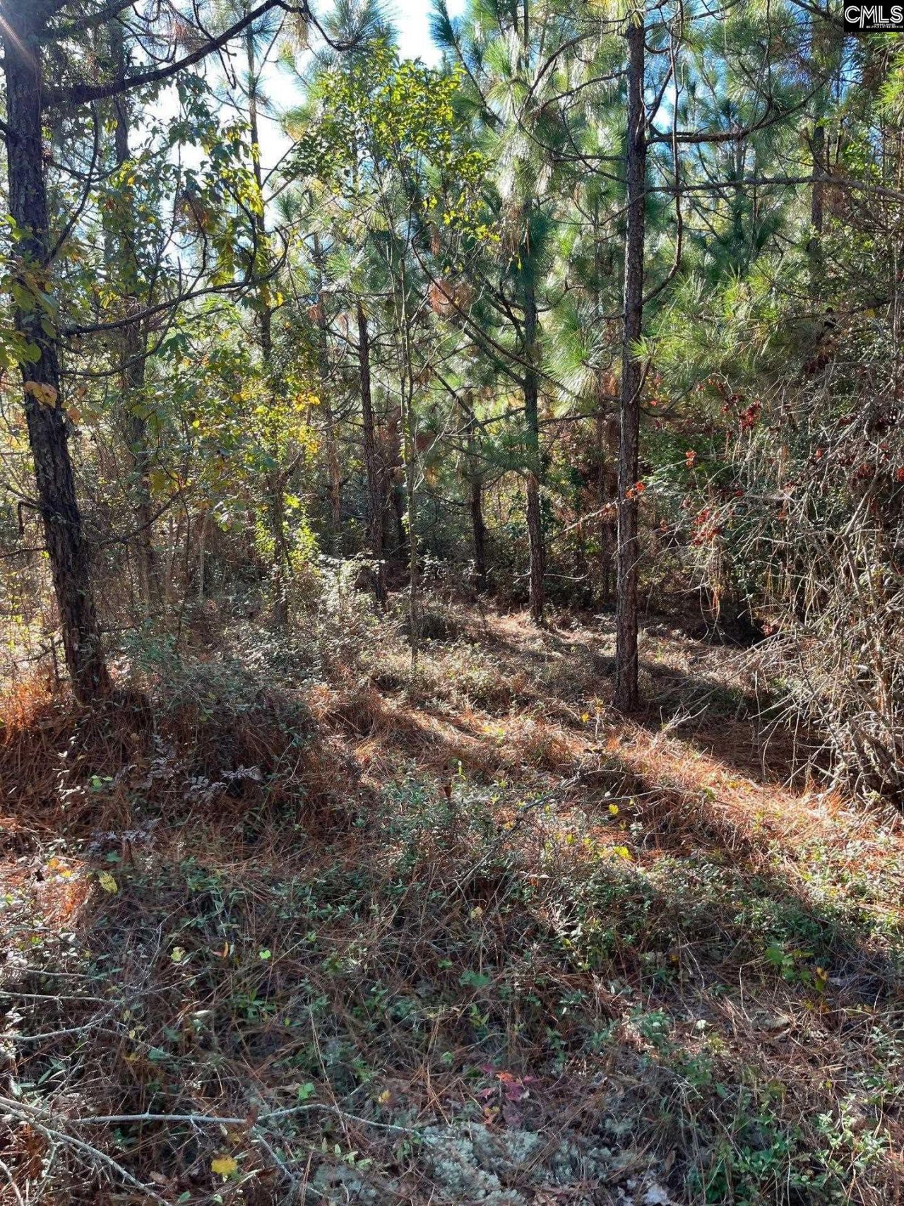 Ppf 12 Payne Pond Road  Photo 30