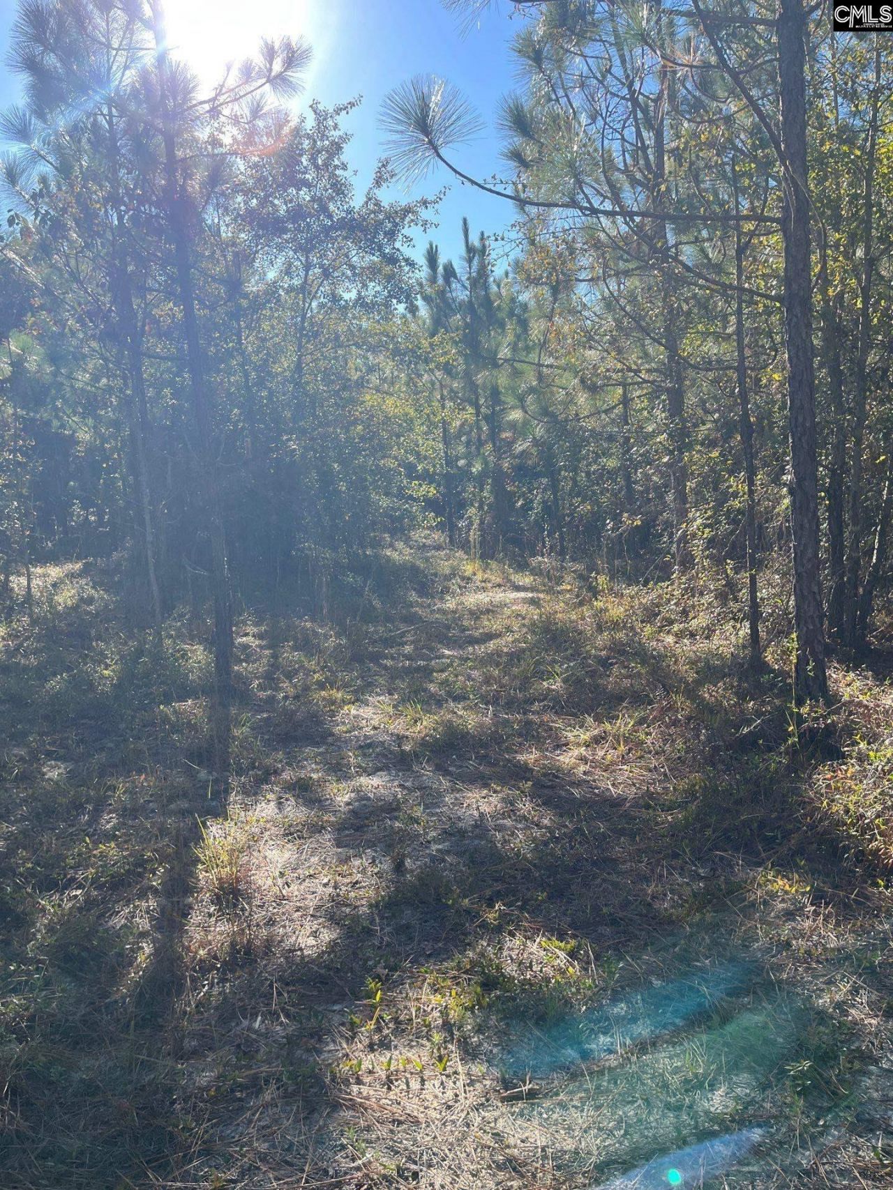 Ppf 12 Payne Pond Road  Photo 31