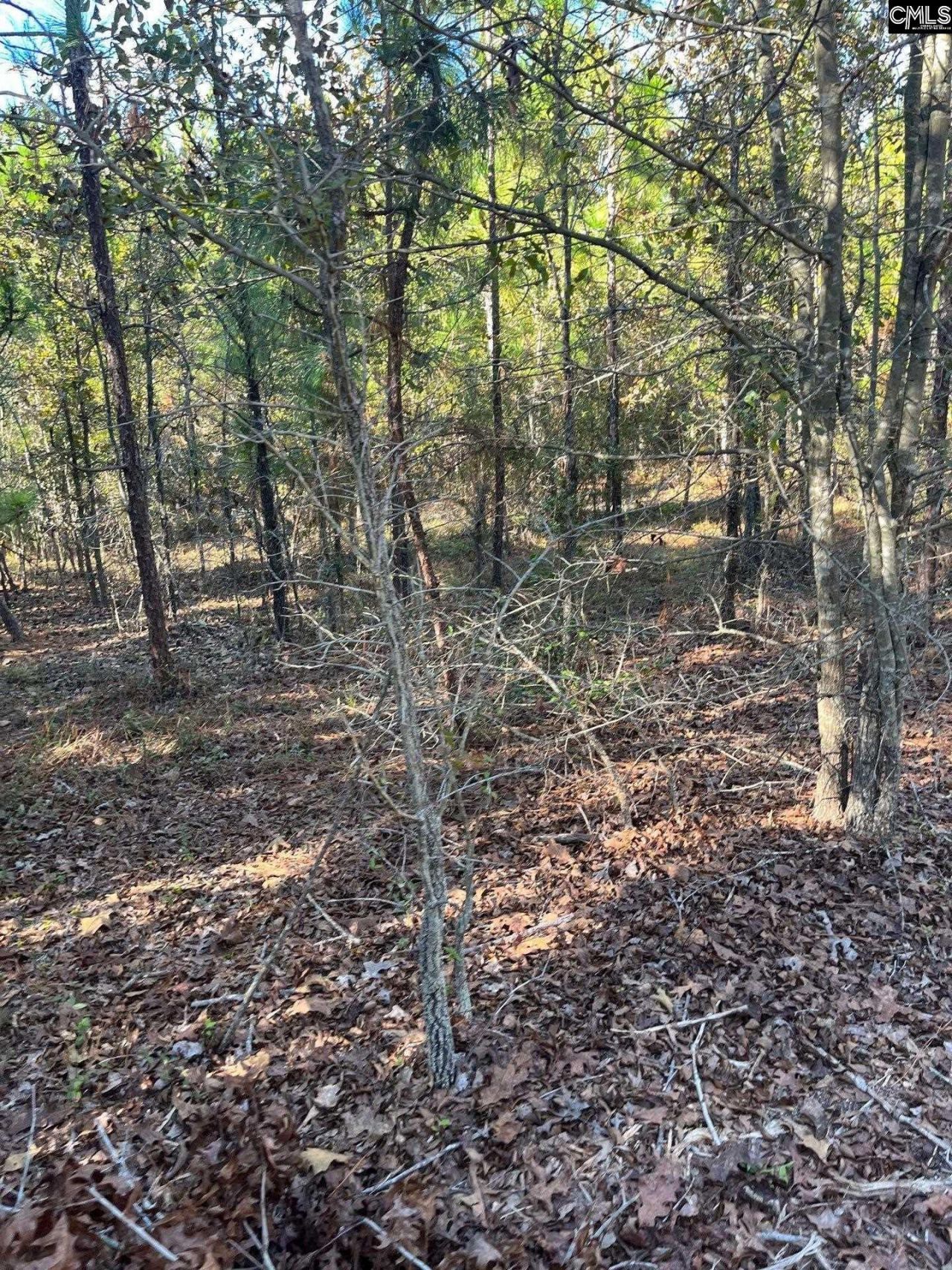 Ppf 12 Payne Pond Road  Photo 34