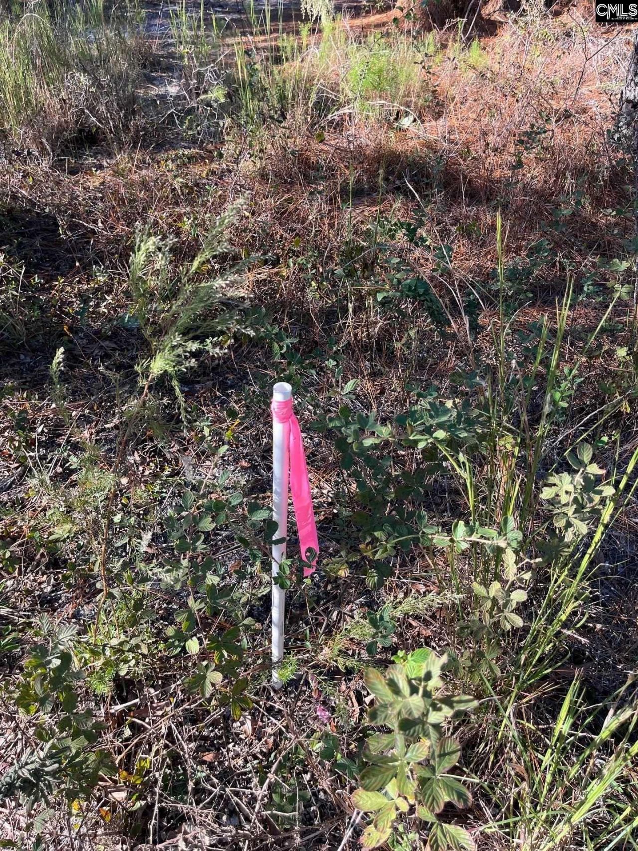 Ppf 12 Payne Pond Road  Photo 40