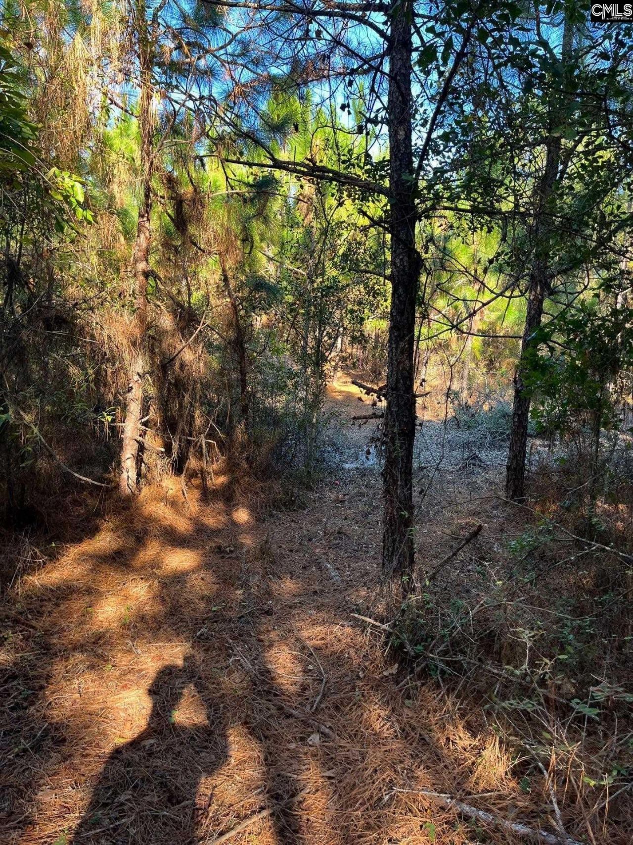 Ppf 12 Payne Pond Road  Photo 41