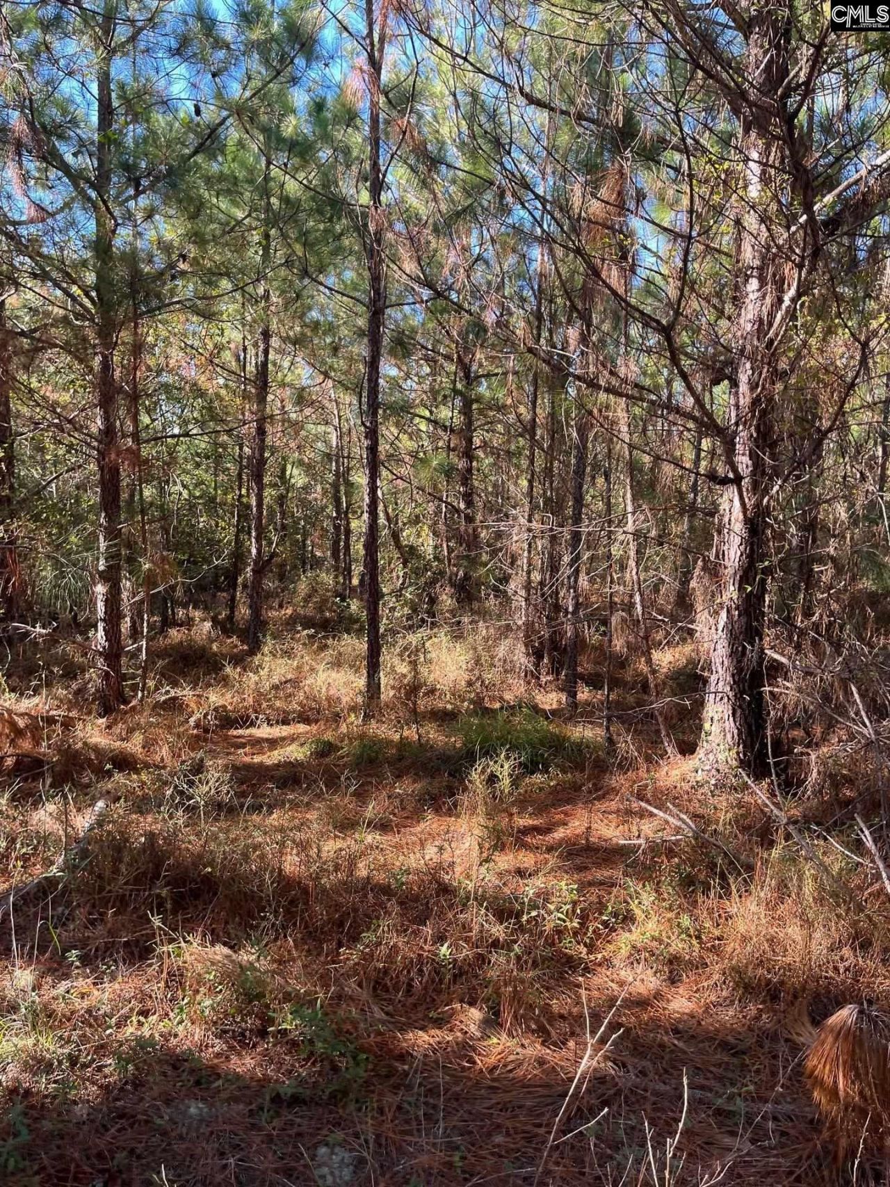 Ppf 12 Payne Pond Road  Photo 42