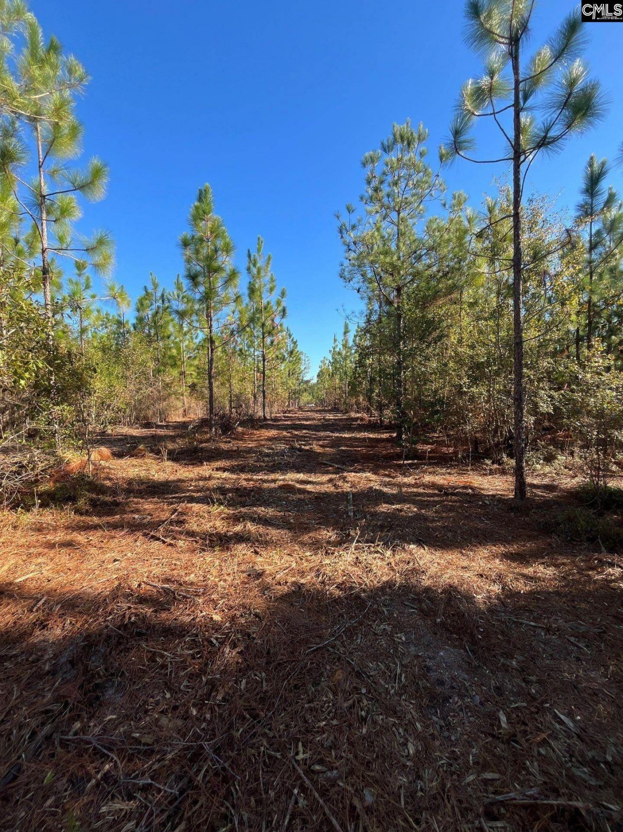 Ppf 12 Payne Pond Road  Photo 45