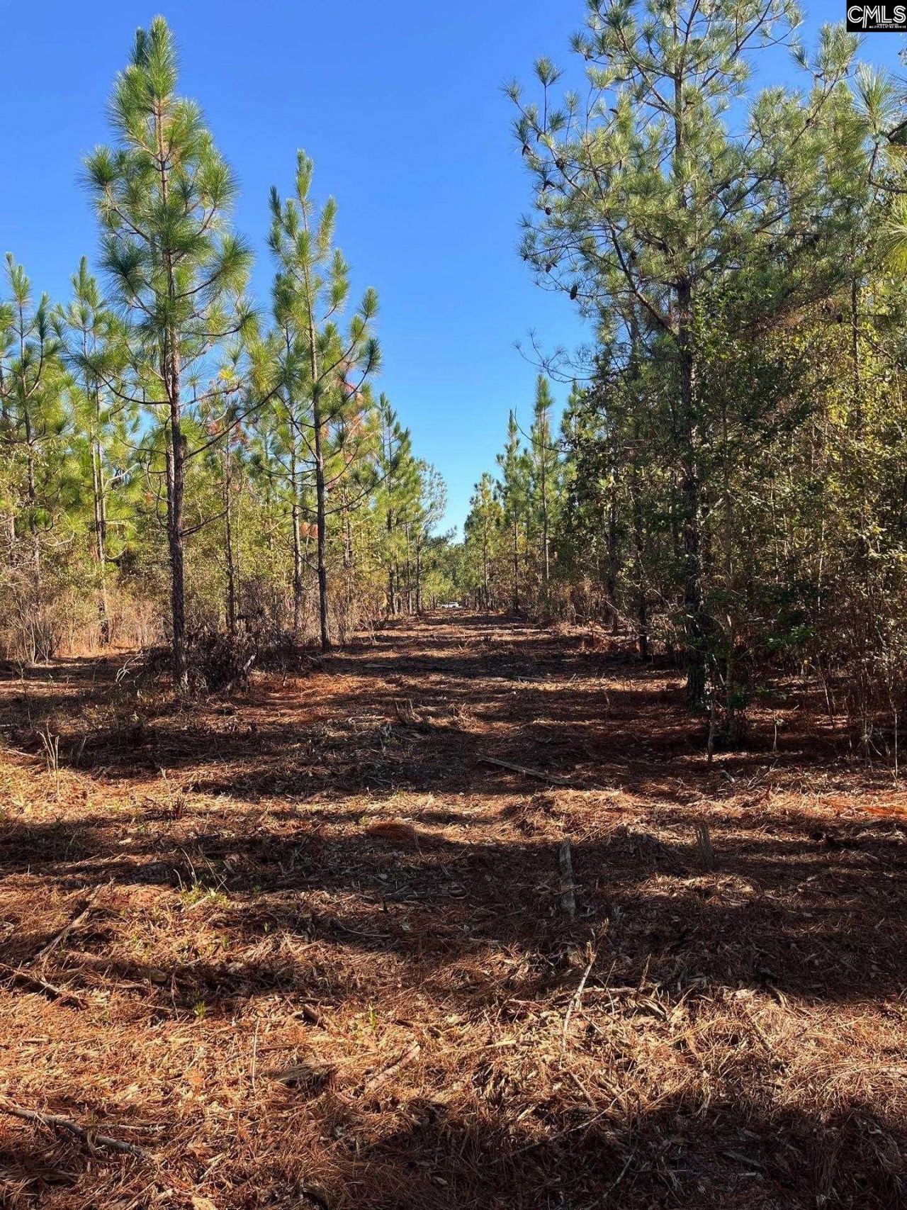 Ppf 12 Payne Pond Road  Photo 46