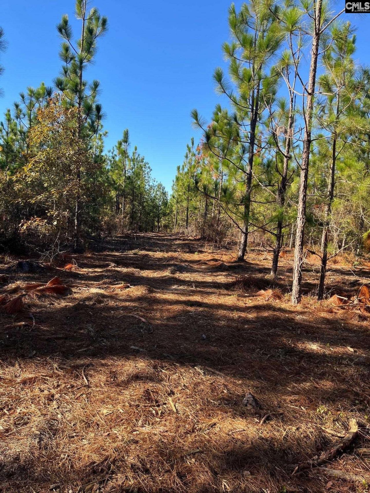 Ppf 12 Payne Pond Road  Photo 47