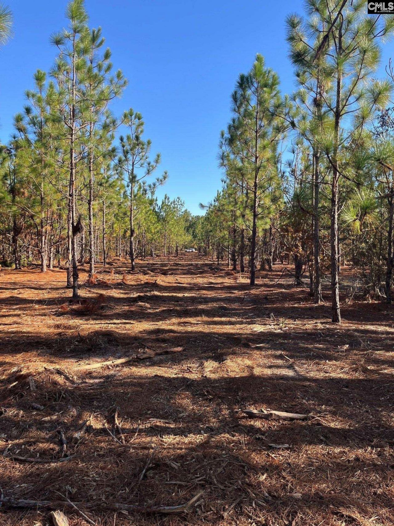 Ppf 12 Payne Pond Road  Photo 48