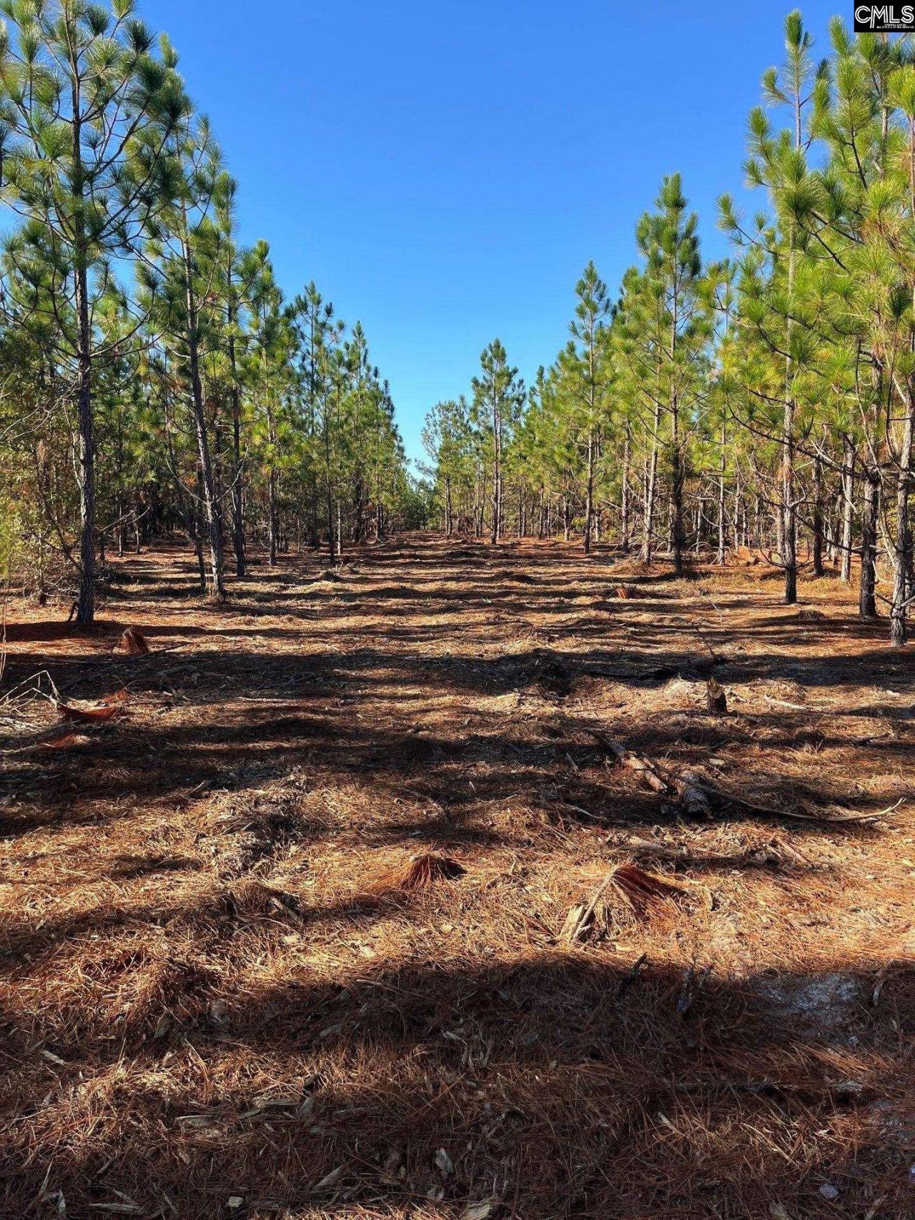 Ppf 12 Payne Pond Road  Photo 50