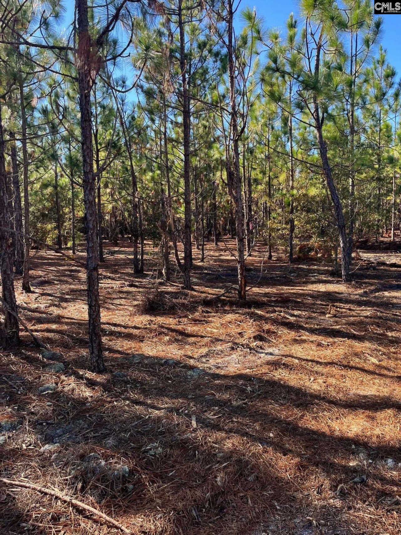 Ppf 12 Payne Pond Road  Photo 51