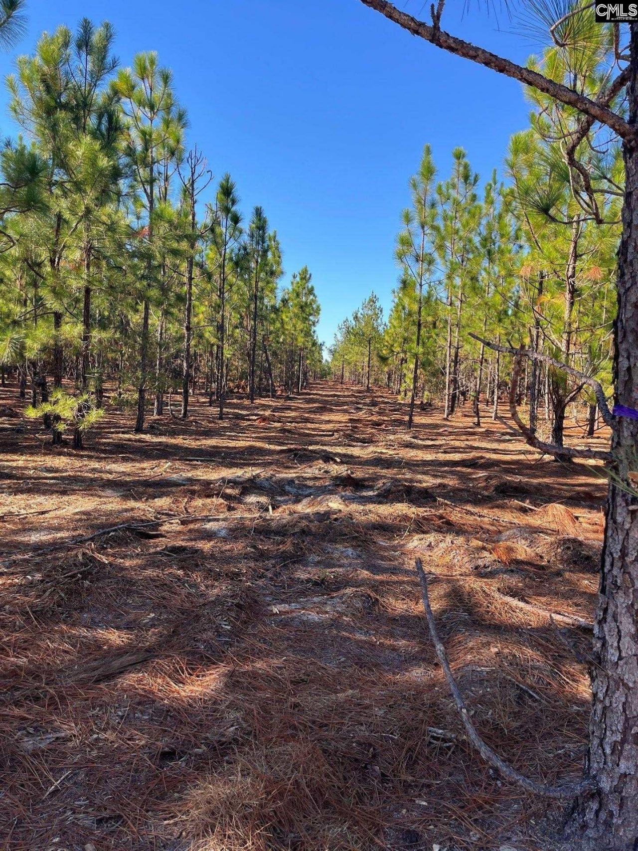 Ppf 12 Payne Pond Road  Photo 52