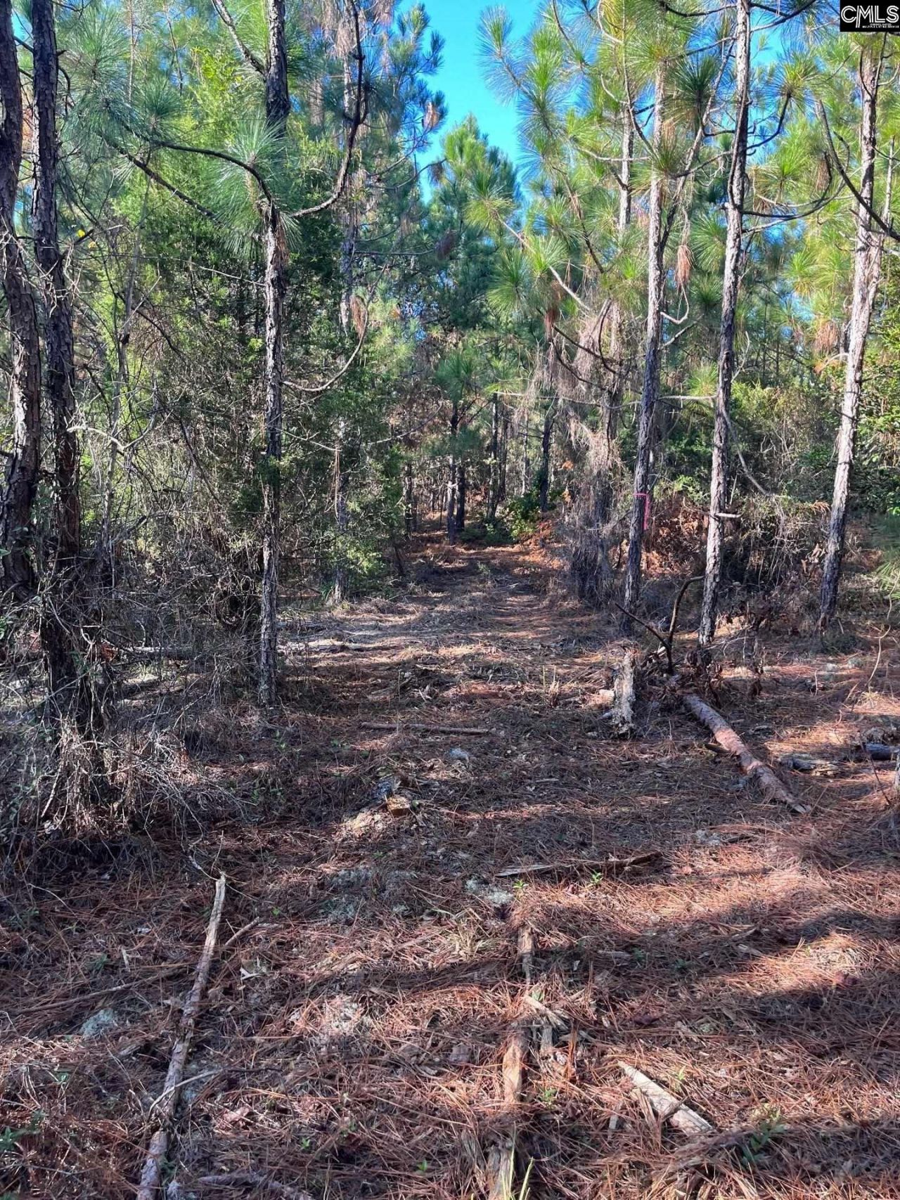 Ppf 12 Payne Pond Road  Photo 6