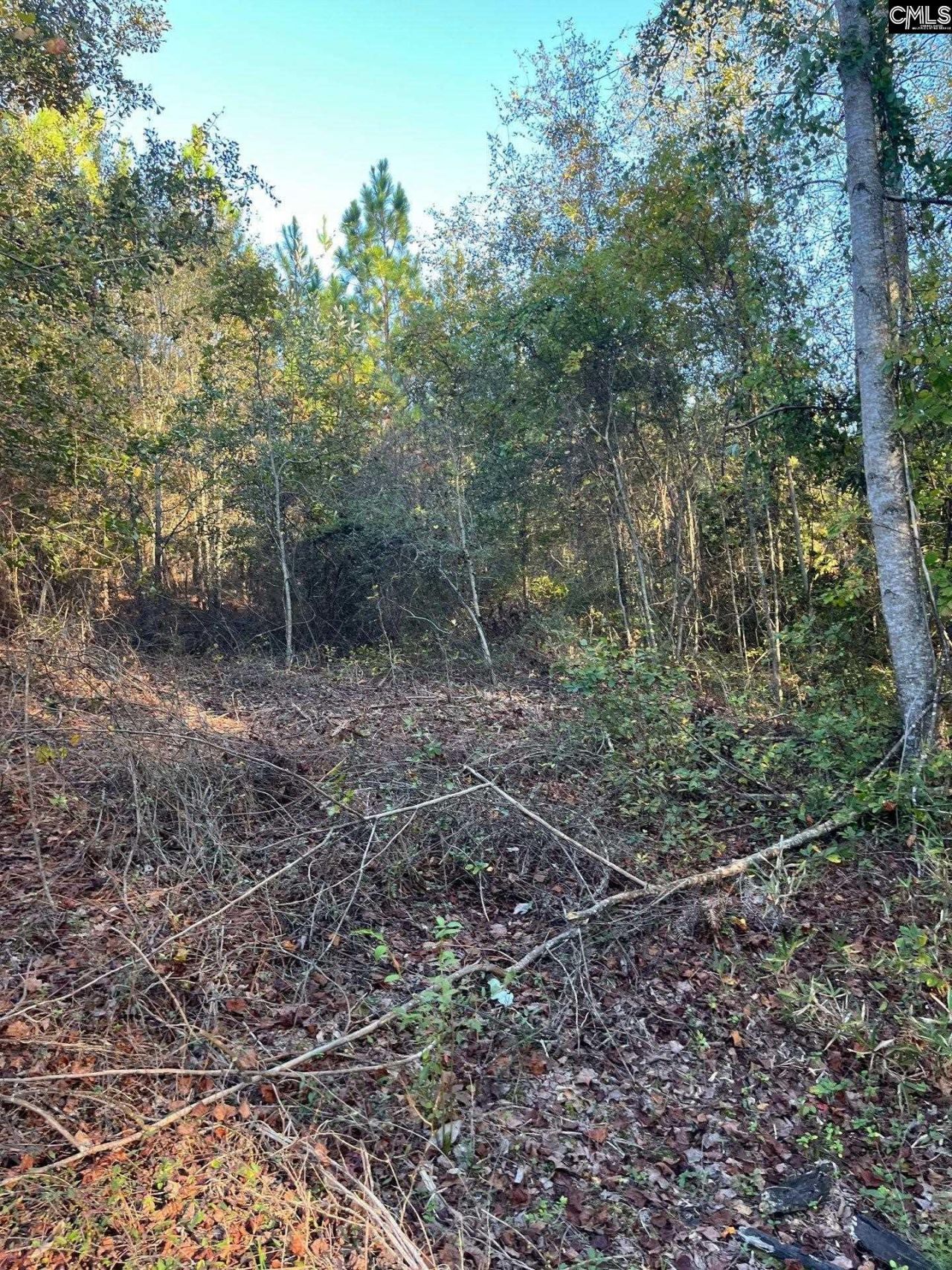 Ppf 12 Payne Pond Road  Photo 8